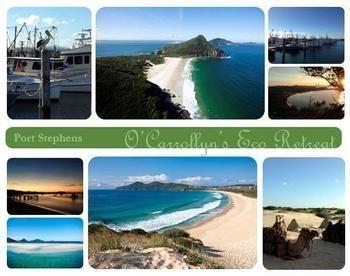 The Oasis At One Mile Beach Anna Bay Exterior foto